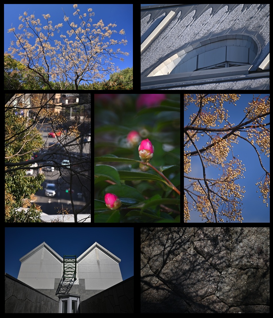 �L���s������p�َ���