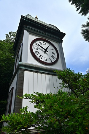 ���C�R�H�����v��