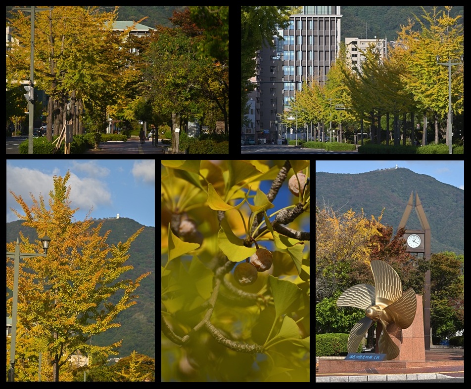 ���{�ʂ�̃C�`���E