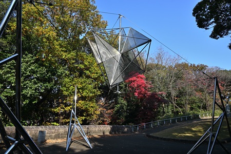 �������̐�