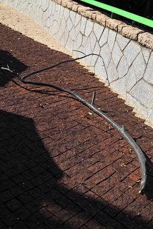 �L���[1996.2023