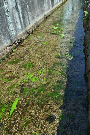 線路近くの水路