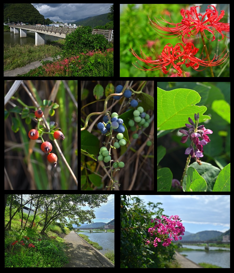 �^�������Ɣފ݉ԁA���͂Ō���ꂽ�Ԃ��