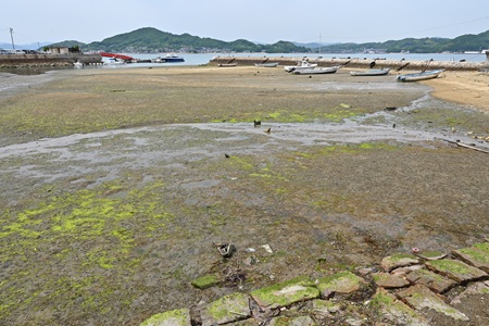 百島 福田港