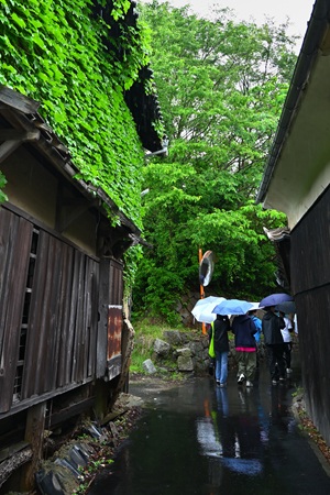 他のボランティアさんたちと