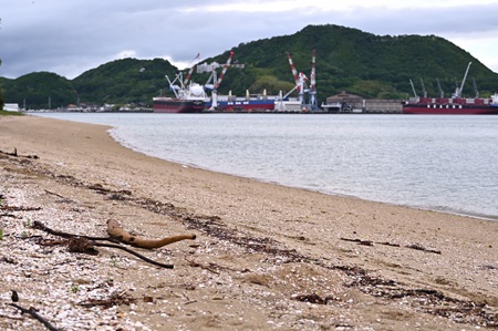 海岸から常石造船