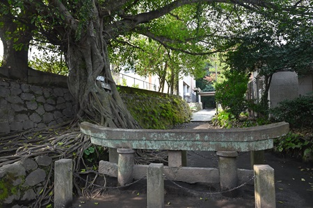 黒神埋没鳥居