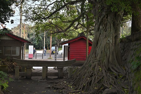 黒神埋没鳥居