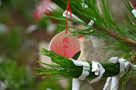 ���݂���