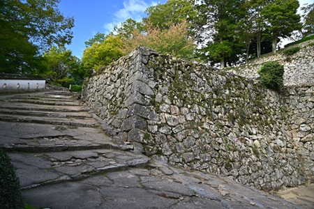 ��̕��E��