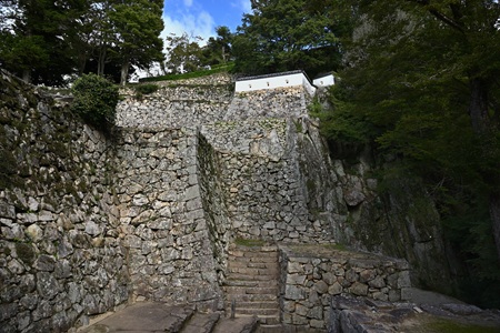 ��̕��E��