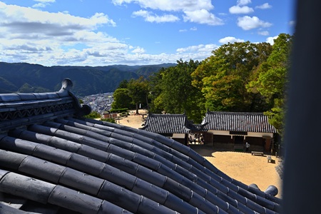 �V�炩��̓W�]