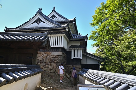 ��d�E����V���