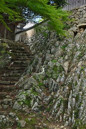 ��d�E�֑����Βi