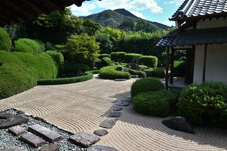 ���v���뉀