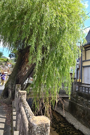 ��������ϒn��