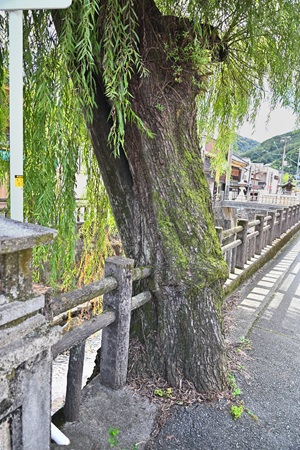 ��������ϒn��