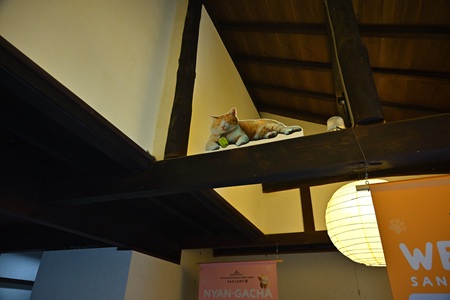 �L��傳�񂶂イ�낤�͂���������