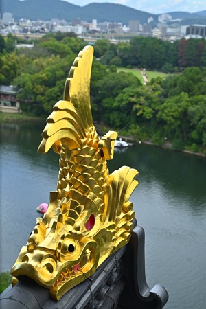 ���̂��Ⴟ�ق�