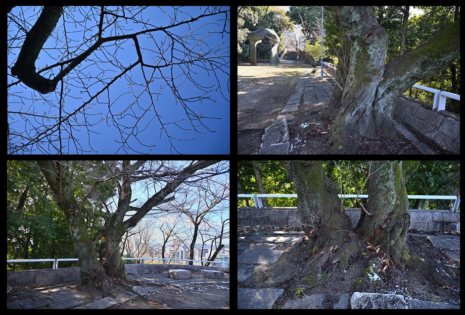 �䎡�R�����̍�