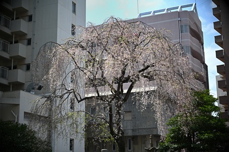 {甎̃V_UN