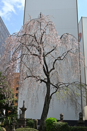 {甎̃V_UN